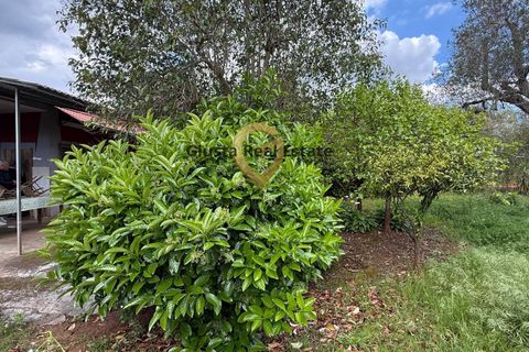 Villa a Latiano, Brindisi, Latiano - € 89.000 | Ref: 9090-91663 - foto 16