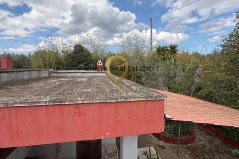 Villa a Latiano, Brindisi, Latiano - € 89.000 | Ref: 9090-91663 - foto 17