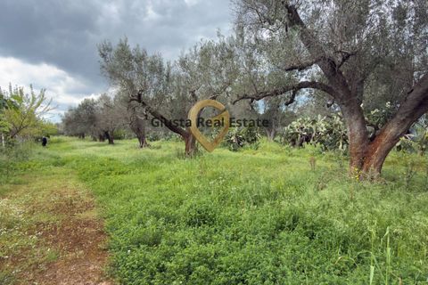 Villa a Latiano, Brindisi, Latiano - € 89.000 | Ref: 9090-91663 - foto 19