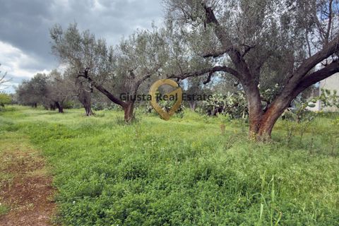 Villa a Latiano, Brindisi, Latiano - € 89.000 | Ref: 9090-91663 - foto 20