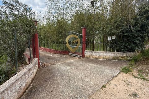 Villa a Latiano, Brindisi, Latiano - € 89.000 | Ref: 9090-91663 - foto 22