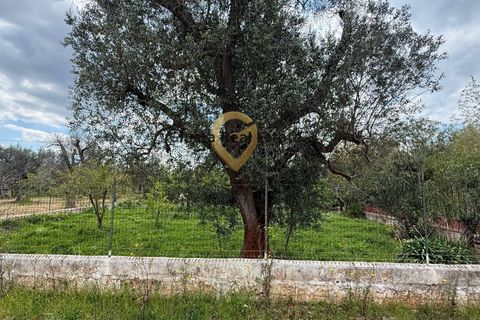 Villa a Latiano, Brindisi, Latiano - € 89.000 | Ref: 9090-91663 - foto 23