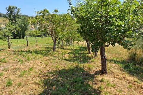 Helårsgrund i Leiria, Leiria, Leiria - € 34.000 | Ref: 2074 - foto 2
