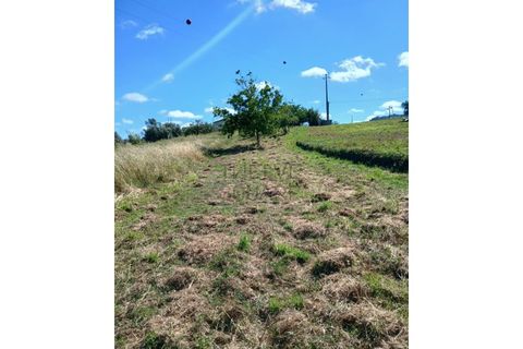 Helårsgrund i Leiria, Leiria, Leiria - € 34.000 | Ref: 2074 - foto 3