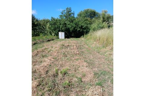 Helårsgrund i Leiria, Leiria, Leiria - € 34.000 | Ref: 2074 - foto 4