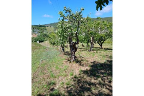 Helårsgrund i Leiria, Leiria, Leiria - € 34.000 | Ref: 2074 - foto 6