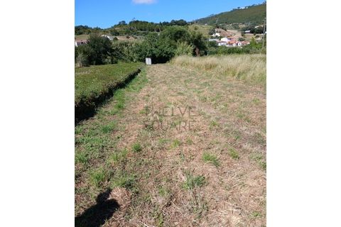 Helårsgrund i Leiria, Leiria, Leiria - € 34.000 | Ref: 2074 - foto 7