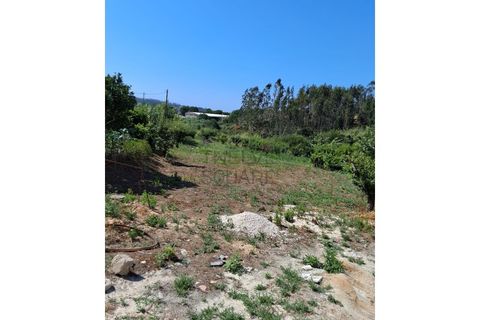 Helårsgrund i Leiria, Leiria, Leiria - € 89.000 | Ref: 2059 - foto 6