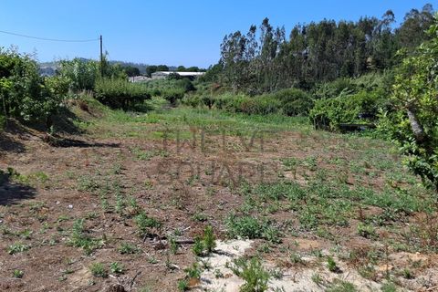 Helårsgrund i Leiria, Leiria, Leiria - € 89.000 | Ref: 2059 - foto 8