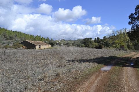 Farm i Odemira, Beja, Odemira - € 975.000 | Ref: PE-123751037-206 - foto 2