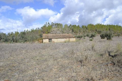 Farm i Odemira, Beja, Odemira - € 975.000 | Ref: PE-123751037-206 - foto 3