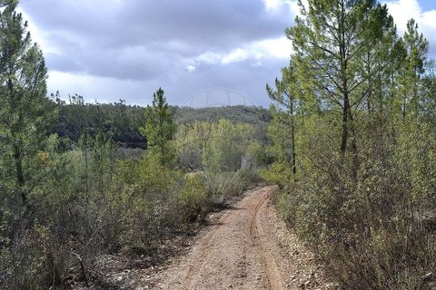 Farm i Odemira, Beja, Odemira - € 975.000 | Ref: PE-123751037-206 - foto 4