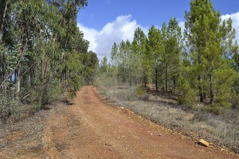 Farm i Odemira, Beja, Odemira - € 975.000 | Ref: PE-123751037-206 - foto 5