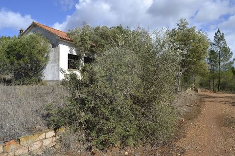 Farm i Odemira, Beja, Odemira - € 975.000 | Ref: PE-123751037-206 - foto 7