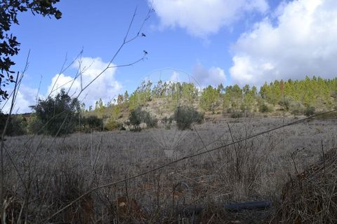 Farm i Odemira, Beja, Odemira - € 975.000 | Ref: PE-123751037-206 - foto 8