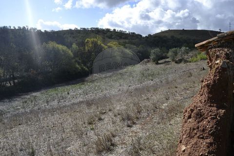 Farm i Odemira, Beja, Odemira - € 975.000 | Ref: PE-123751037-206 - foto 9