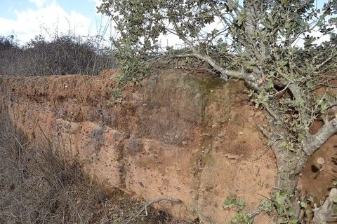 Farm i Odemira, Beja, Odemira - € 975.000 | Ref: PE-123751037-206 - foto 10