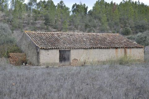 Farm i Odemira, Beja, Odemira - € 975.000 | Ref: PE-123751037-206 - foto 11