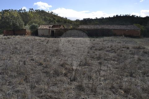 Farm i Odemira, Beja, Odemira - € 975.000 | Ref: PE-123751037-206 - foto 15