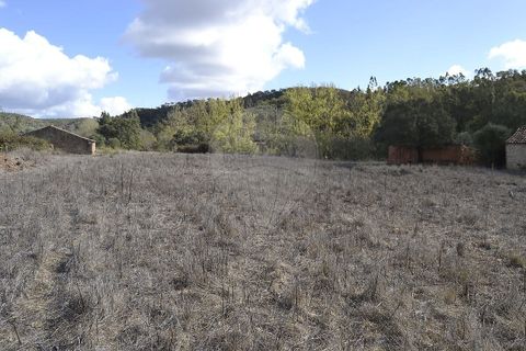 Farm i Odemira, Beja, Odemira - € 975.000 | Ref: PE-123751037-206 - foto 16