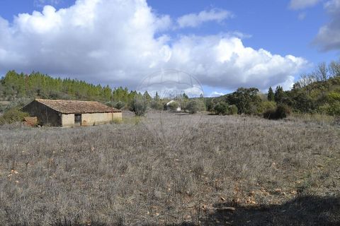Farm i Odemira, Beja, Odemira - € 975.000 | Ref: PE-123751037-206 - foto 17