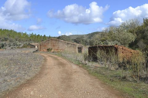 Farm i Odemira, Beja, Odemira - € 975.000 | Ref: PE-123751037-206 - foto 23