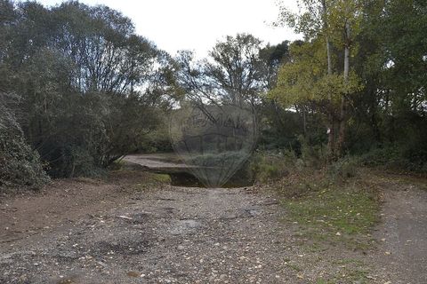 Farm i Odemira, Beja, Odemira - € 975.000 | Ref: PE-123751037-206 - foto 24