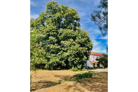 Villa en Foios, Valencia, Foios - € 106.000 | Ref: X108 - photo 22