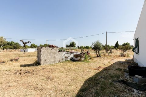Farm hus i Evora, Evora, Evora - € 650.000 | Ref: 318/Q/03847 - foto 45