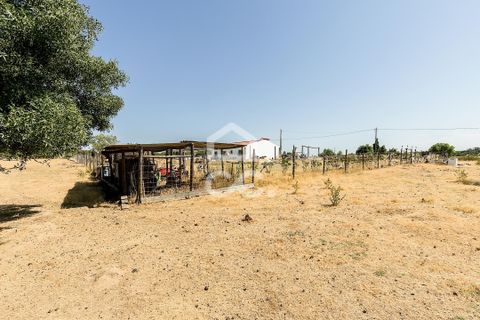 Farm hus i Evora, Evora, Evora - € 650.000 | Ref: 318/Q/03847 - foto 47