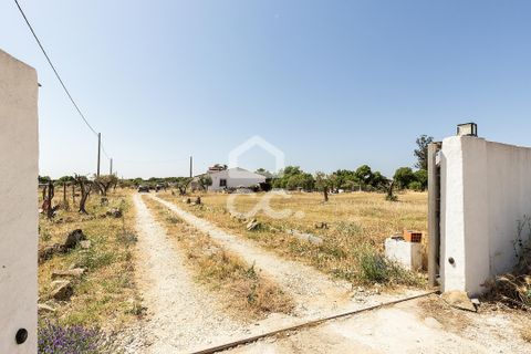 Farm hus i Evora, Evora, Evora - € 650.000 | Ref: 318/Q/03847 - foto 50