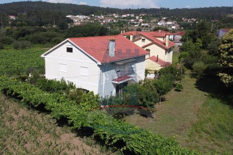 Villa i Ponte de Lima, Viana do Castelo, Ponte de Lima - € 330.000 | Ref: TL058 - foto 30