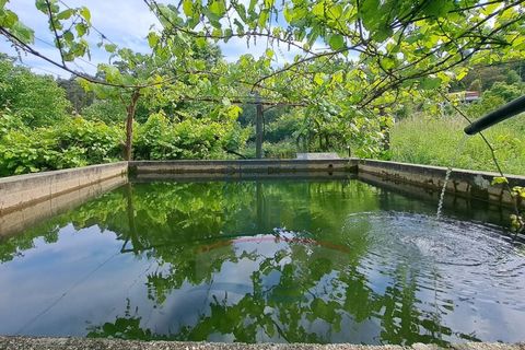 Villa i Ponte de Lima, Viana do Castelo, Ponte de Lima - € 148.000 | Ref: TL049 - foto 4