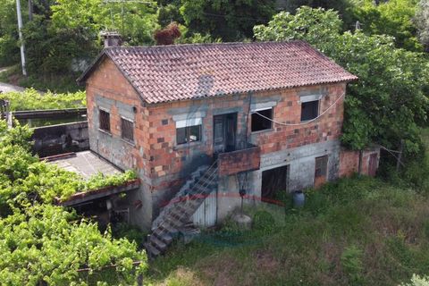 Villa i Ponte de Lima, Viana do Castelo, Ponte de Lima - € 148.000 | Ref: TL049 - foto 12