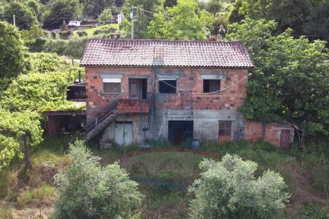 Villa i Ponte de Lima, Viana do Castelo, Ponte de Lima - € 148.000 | Ref: TL049 - foto 13