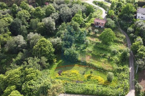 Villa i Ponte de Lima, Viana do Castelo, Ponte de Lima - € 148.000 | Ref: TL049 - foto 14