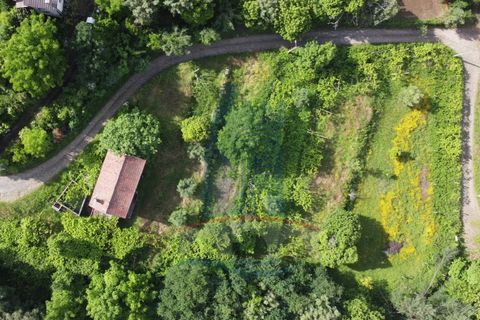 Villa i Ponte de Lima, Viana do Castelo, Ponte de Lima - € 148.000 | Ref: TL049 - foto 15