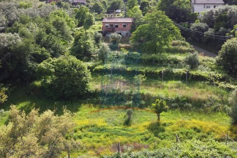 Villa i Ponte de Lima, Viana do Castelo, Ponte de Lima - € 148.000 | Ref: TL049 - foto 16