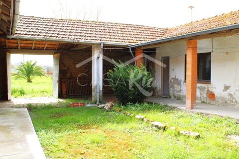 Haus in Arouca, Aveiro, Arouca - € 135.000 | Ref: CRAF1033 - Foto 2