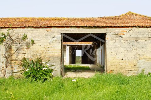 Haus in Arouca, Aveiro, Arouca - € 135.000 | Ref: CRAF1033 - Foto 5