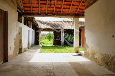 Haus in Arouca, Aveiro, Arouca - € 135.000 | Ref: CRAF1033 - Foto 9