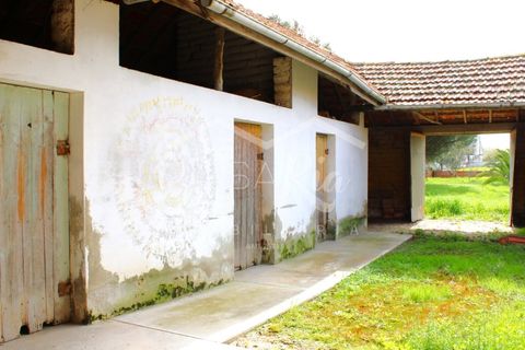 Haus in Arouca, Aveiro, Arouca - € 135.000 | Ref: CRAF1033 - Foto 10