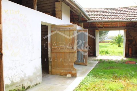 Haus in Arouca, Aveiro, Arouca - € 135.000 | Ref: CRAF1033 - Foto 23