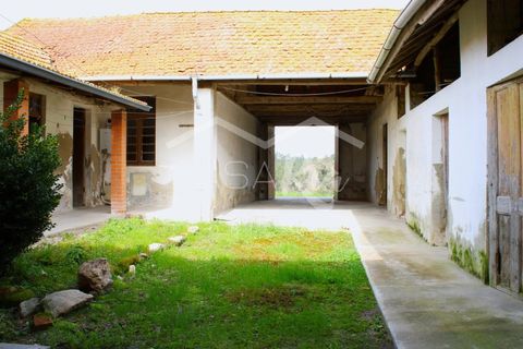 Haus in Arouca, Aveiro, Arouca - € 135.000 | Ref: CRAF1033 - Foto 25