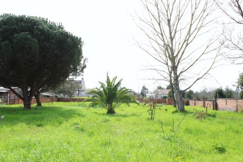 Haus in Arouca, Aveiro, Arouca - € 135.000 | Ref: CRAF1033 - Foto 26