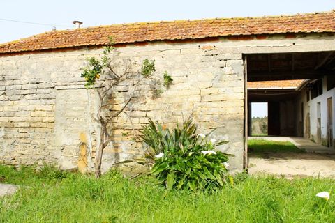 Haus in Arouca, Aveiro, Arouca - € 135.000 | Ref: CRAF1033 - Foto 27