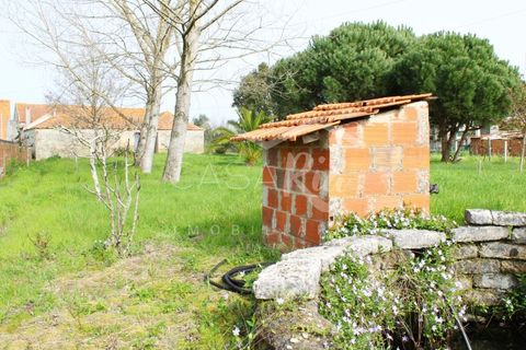 Haus in Arouca, Aveiro, Arouca - € 135.000 | Ref: CRAF1033 - Foto 29