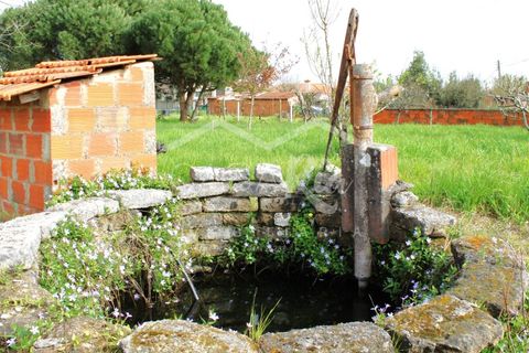 Haus in Arouca, Aveiro, Arouca - € 135.000 | Ref: CRAF1033 - Foto 30