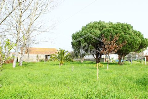 Haus in Arouca, Aveiro, Arouca - € 135.000 | Ref: CRAF1033 - Foto 31