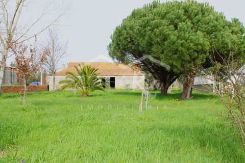 Haus in Arouca, Aveiro, Arouca - € 135.000 | Ref: CRAF1033 - Foto 32